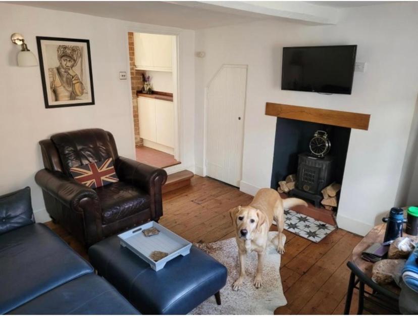 Bury St. Edmunds Sweet & Cosy 10 Bridewell Cottage With Parking Available Upon Request מראה חיצוני תמונה